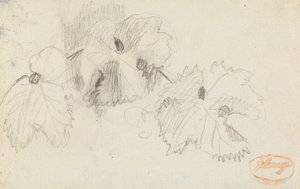  av George Romney