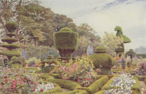 Levens, roser og rosa av George Samuel Elgood