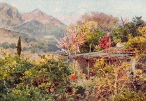Orange Grove, Mentone (fargelitografi)