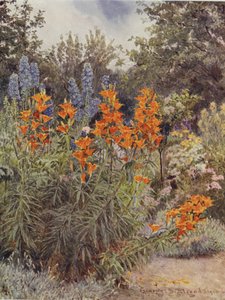 Oransje liljer og lerkespore av George Samuel Elgood