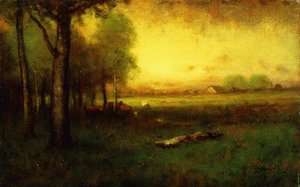 Kyr beiter ved solnedgang,