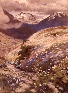 Alpeblomster (akvarell på papir) av George Soper