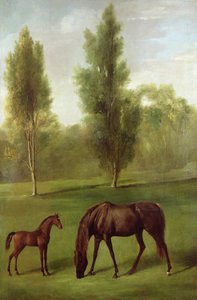 En kastanjehoppe og føll i et skogslandskap, ca. 1761-63 (olje på lerret) av George Stubbs