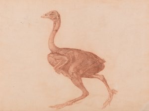  av George Stubbs