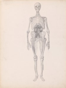  av George Stubbs