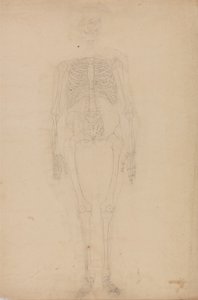  av George Stubbs