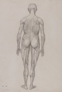  av George Stubbs