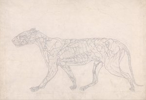  av George Stubbs