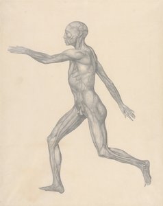  av George Stubbs