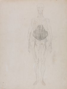  av George Stubbs