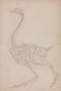  av George Stubbs
