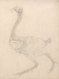  av George Stubbs