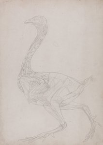  av George Stubbs