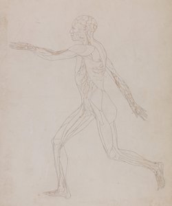  av George Stubbs