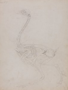  av George Stubbs