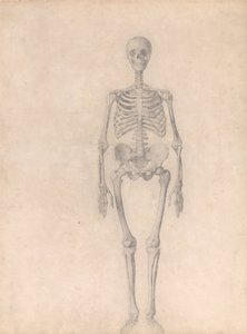  av George Stubbs