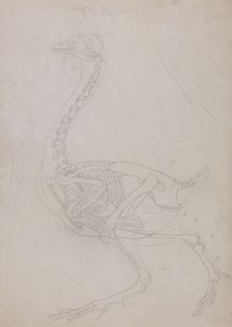  av George Stubbs