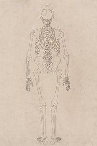  av George Stubbs