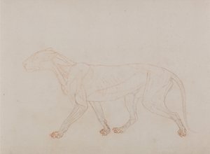  av George Stubbs
