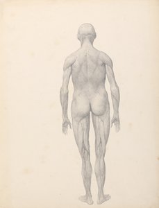  av George Stubbs