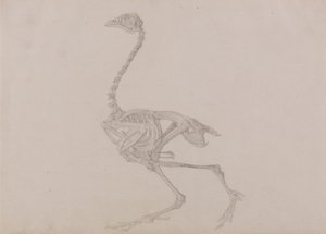  av George Stubbs
