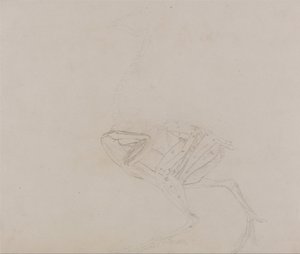  av George Stubbs