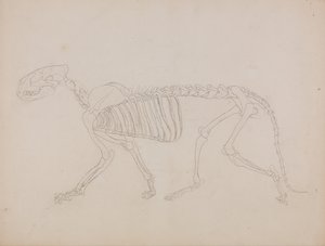  av George Stubbs