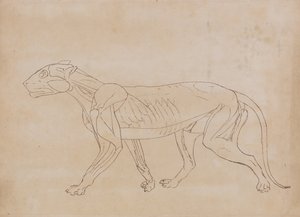  av George Stubbs