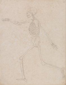  av George Stubbs