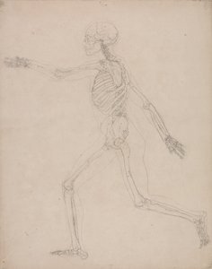  av George Stubbs