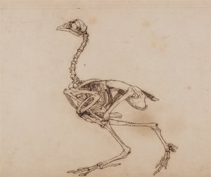  av George Stubbs