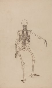  av George Stubbs