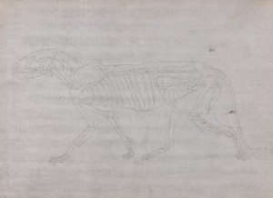  av George Stubbs