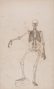  av George Stubbs