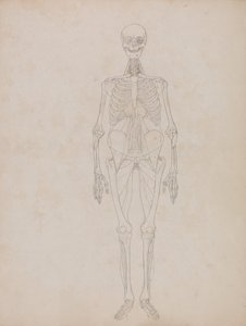  av George Stubbs