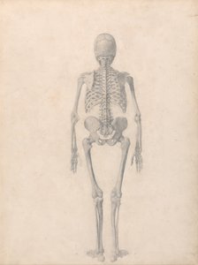  av George Stubbs