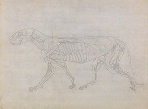  av George Stubbs