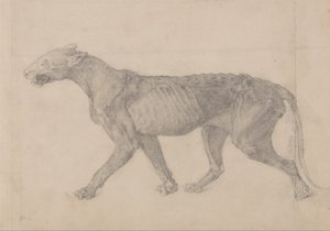  av George Stubbs