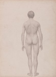  av George Stubbs