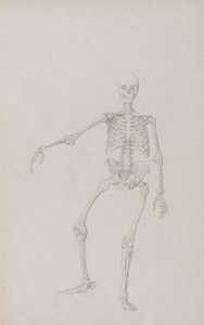  av George Stubbs