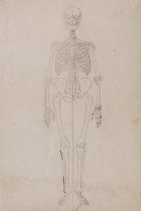  av George Stubbs