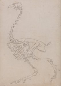  av George Stubbs