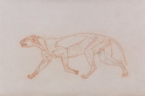  av George Stubbs