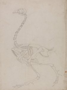  av George Stubbs