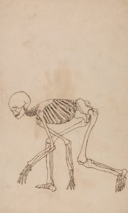  av George Stubbs