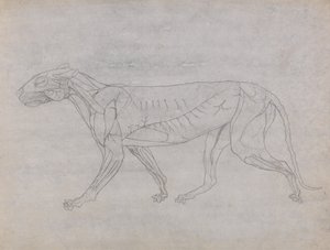  av George Stubbs
