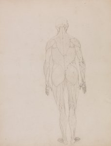  av George Stubbs