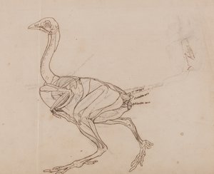  av George Stubbs