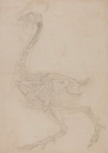  av George Stubbs