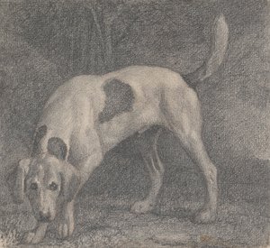 En revehund på duften av George Stubbs
